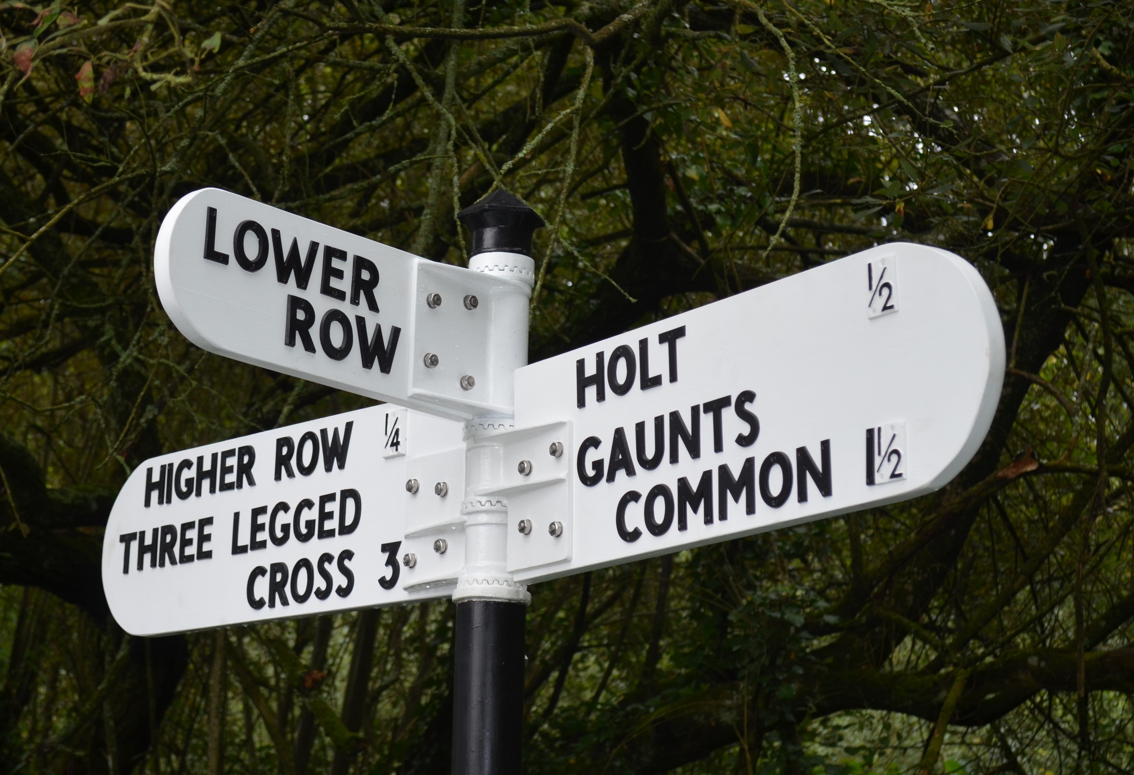 HOLT Together Information Group for Holt & Furzehill