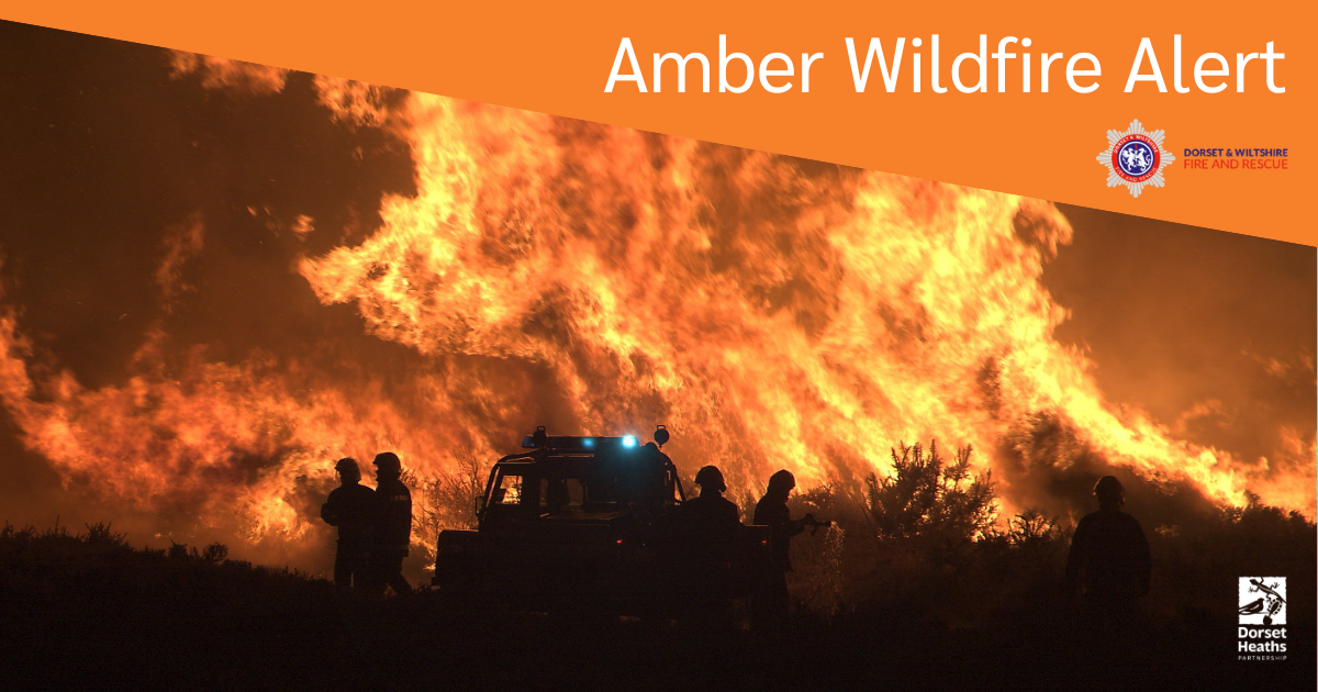Amber Wildfire Alert for Dorset